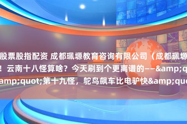 股票股指配资 成都珮塬教育咨询有限公司（成都珮塬教育）的家人们谁懂啊！云南十八怪算啥？今天刷到个更离谱的——&quot;第十九怪，鸵鸟飙车比电驴快&quot;！🦸♂️